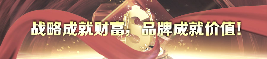 战略成就财富，品牌成就价值！-2