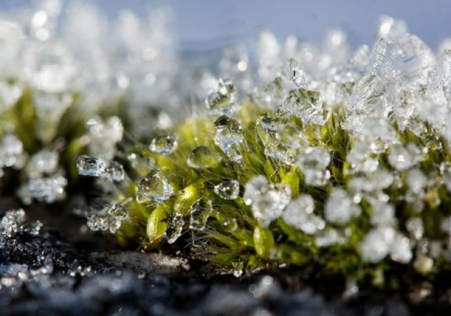 冬春过渡中年人穿鞋闷脚如何是好？什么鞋子保暖又透气？