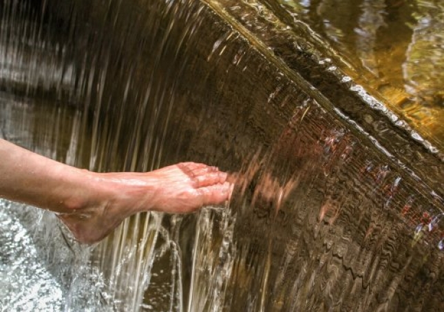 艾叶泡脚的方法-用艾草泡脚时，要记住禁忌哪些，很多人不懂，总是泡错？